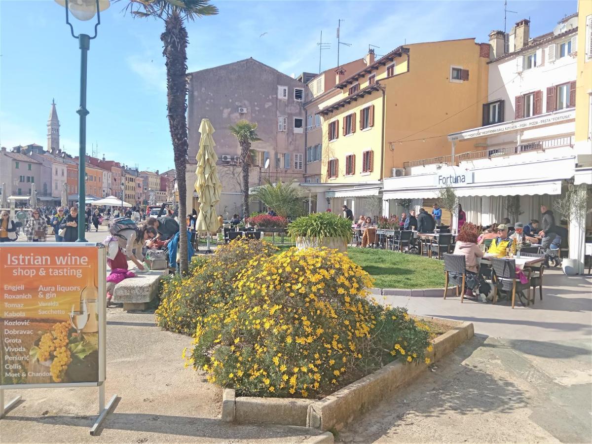 Apartman Speranza Rovinj Bagian luar foto